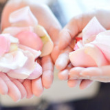 フラワーシャワーの花びらです(^^♪