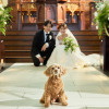 ノートルダム周南/FIVESTAR WEDDING
