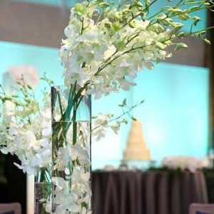 大人の女性に愛される蘭。その中でもデンファレは、比較的身近な存在の花ですね。|シェラトングランドホテル広島の写真(246141)