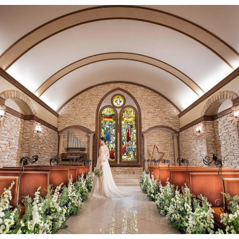 フェリシアコート