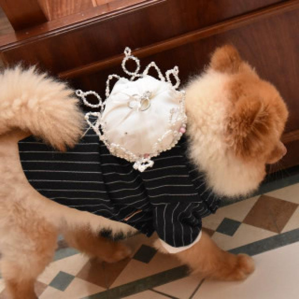 イルミネーション