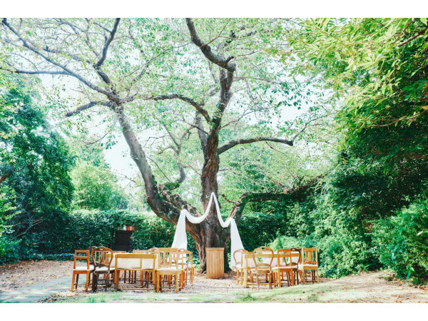 樹齢120年の桜の大樹が見守るガーデン挙式スペース