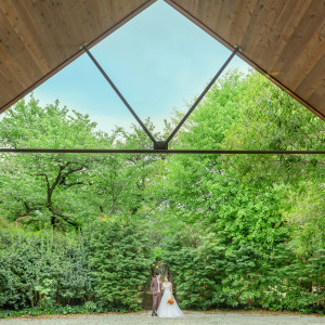 どこを見渡しても緑が見える雰囲気|ラ・クラリエールの写真(54665511)