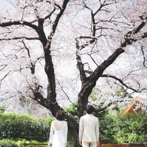 【年に1度!】桜満開◇限定特典あり！Sakura weddingフェア