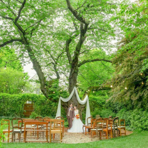 樹齢120年の桜の木の下で挙げる森の中の結婚式*。常緑樹に囲まれて大自然を感じながらやさしい時間を|ラ・クラリエールの写真(54665046)