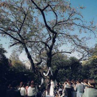 空気が澄んでいる青空の下での挙式も圧巻!