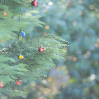 クリスマス装飾で季節の演出を◎