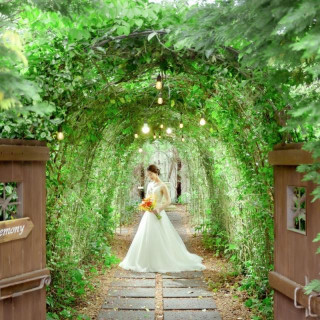 常緑樹だからこそ敷地内すべてがフォトスポットどのシーズンも緑あふれた空間に◎