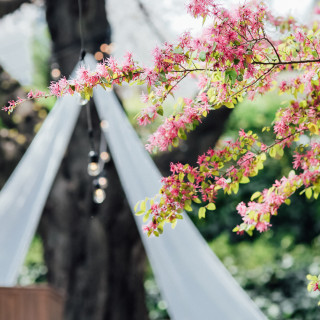 春はより鮮やかな花が咲き、装飾いらずの明るい空間に*