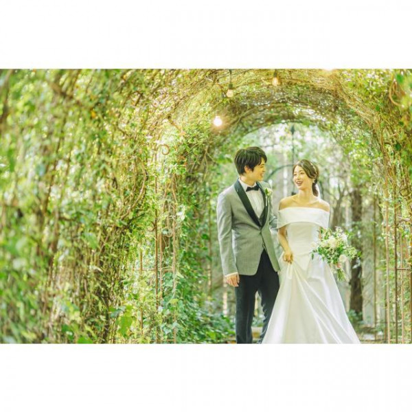 常緑樹だからこそ敷地内すべてがフォトスポットどのシーズンも緑あふれた空間に◎