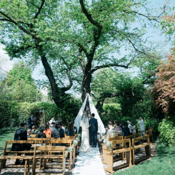 樹齢120年の桜の下で挙げる唯一無二の結婚式
