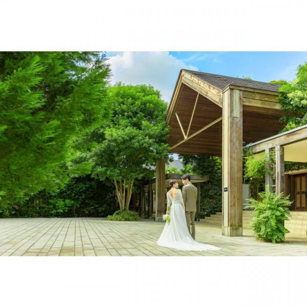 常緑樹だからこそ敷地内すべてがフォトスポットどのシーズンも緑あふれた空間に◎