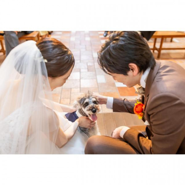 チャペルもペット可能◎リングドッグとしてペットにも大事な役割を