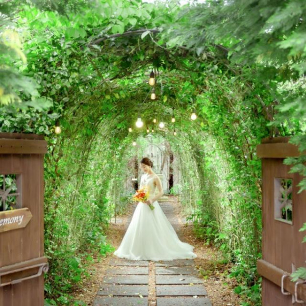 常緑樹だからこそ敷地内すべてがフォトスポットどのシーズンも緑あふれた空間に◎