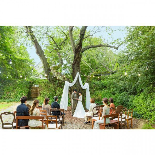 樹齢120年以上の桜の木がおふたりの大切な瞬間を見守るガーデン挙式