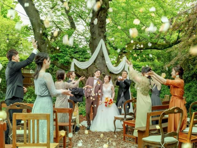 1件目来館限定◇155万円優待