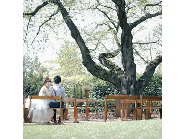 これまでの結婚式事例ご紹介！