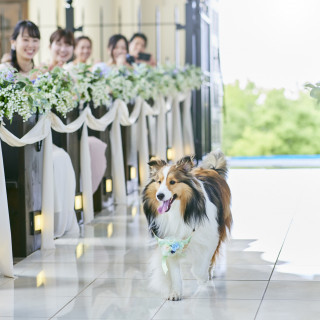 愛犬との思い出も