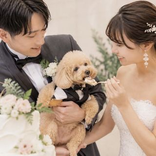 《 ペットOK》 大切な家族と叶える愛犬演出&相談会×美食体験