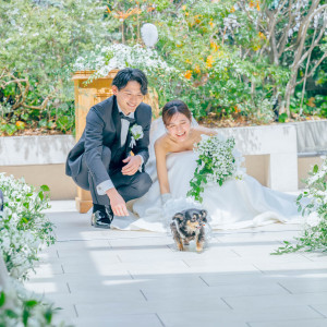 .|Elegante Vita(エレガンテヴィータ)の写真(52947632)