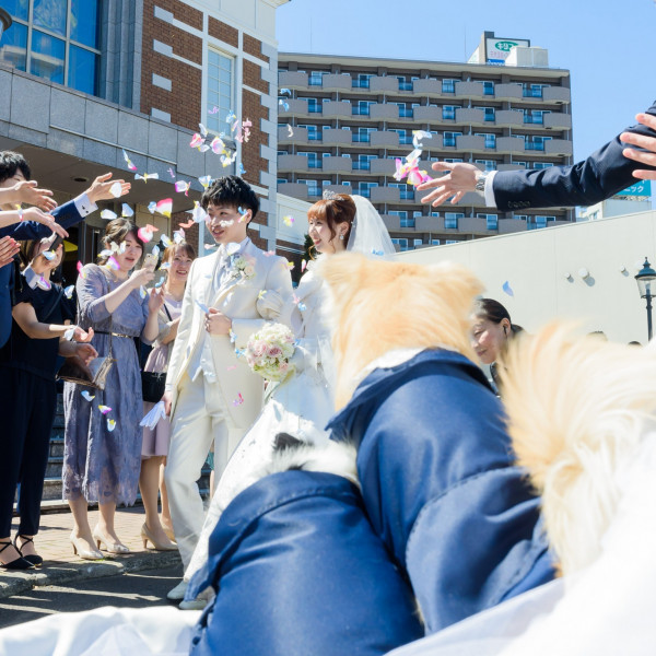 中島公園駅のペットと一緒の結婚式ができる結婚式場 口コミ人気の2選 ウエディングパーク