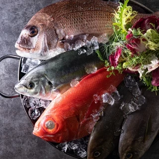 近隣の豊洲市場で朝一に仕入れた新鮮な魚介を使用。大人気の寿司ビュッフェもおすすめ！