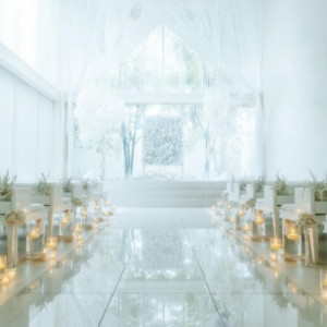 THE JAPONAIS LISERJU（ザ ジャポナイズリサージュ）