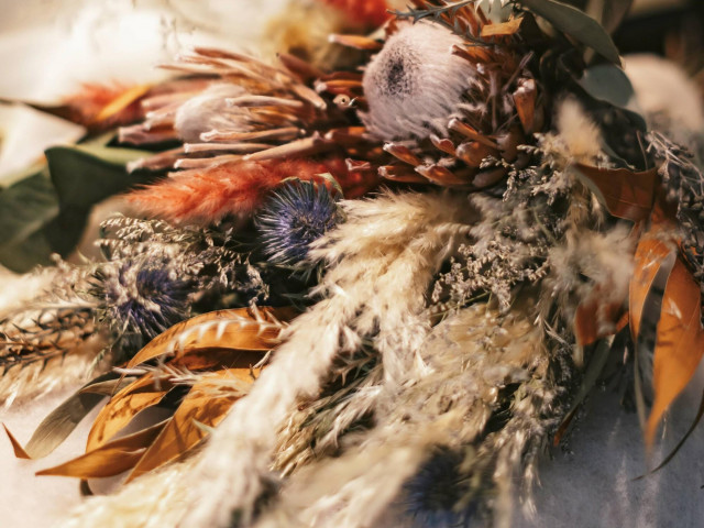 1月のご見学ご来館が魅力的☆