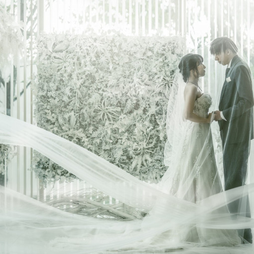 THE JAPONAIS LISERJU（ザ ジャポナイズリサージュ）