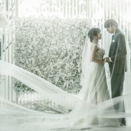 THE JAPONAIS LISERJU(ザ ジャポナイズリサージュ)