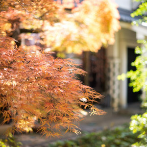秋には美しい紅葉が挙式を彩る。|ヒカリヤ（国登録有形文化財）の写真(31109294)