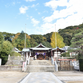 800年以上の歴史を紡ぐ鶴羽根神社