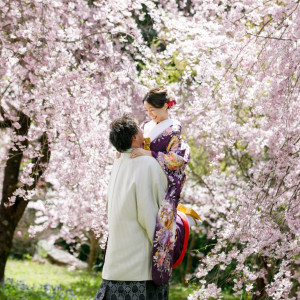 写真撮影のみの結婚式にもピッタリのロケーションあり！