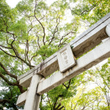 住吉神社鳥居