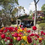 季節の花々に囲まれながらのパーティ