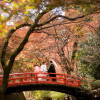 フォーチュンガーデン京都（FORTUNE GARDEN KYOTO）