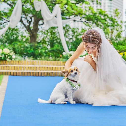 ノートルダム北九州/FIVESTAR WEDDINGの結婚式の公式写真（2枚目）