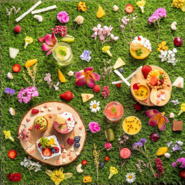 【初見学にオススメ】プレミアムスイーツ15品試食フェア