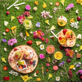 【初見学にオススメ】プレミアムスイーツ15品試食フェア