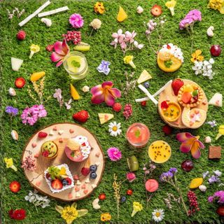 【初見学にオススメ】プレミアムスイーツ15品試食フェア