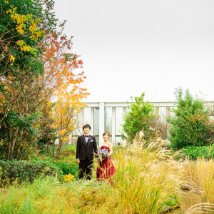 《実例》秋のウェディング。紅葉とともに写真撮影を|ヴェルミヨンバーグ名古屋 ●BRASSグループの写真(14775320)
