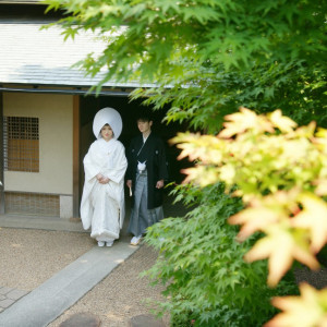 季節ごとの移ろいを魅せる日本庭園の美しさとともに、忘れられない結婚式に。|有栖川清水の写真(606243)