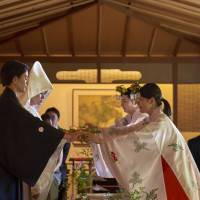 有栖川清水