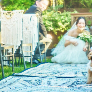 【ペットと一緒に】表参道で叶える*ペットウェディング相談会