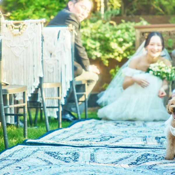 【最大84万円特典】待望のペットウェディングプラン新登場！