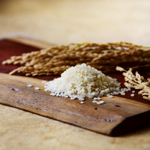 その年の、季節、場所で最良の食材を追求する|福岡 天神モノリス (FUKUOKA TENJIN MONOLITH)の写真(56043319)