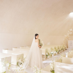 ぬくもりを感じるドーム型の室内|福岡 天神モノリス (FUKUOKA TENJIN MONOLITH)の写真(56043456)