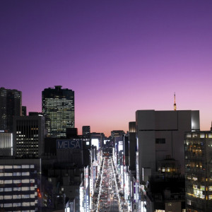 会場から銀座の街並みを一望できる|アンジェリオン オ プラザ 東京（Angelion au plaza TOKYO）の写真(389278)