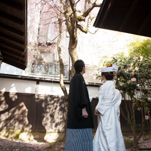 桜の木と白無垢がよく映える1枚です。|THE LITTLE WEDDING 一の糸（ザ リトルウェディング 一の糸）の写真(1899650)