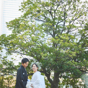 ＊2026新春BIG＊福袋付き＊豪華7大特典！最大140万円特典